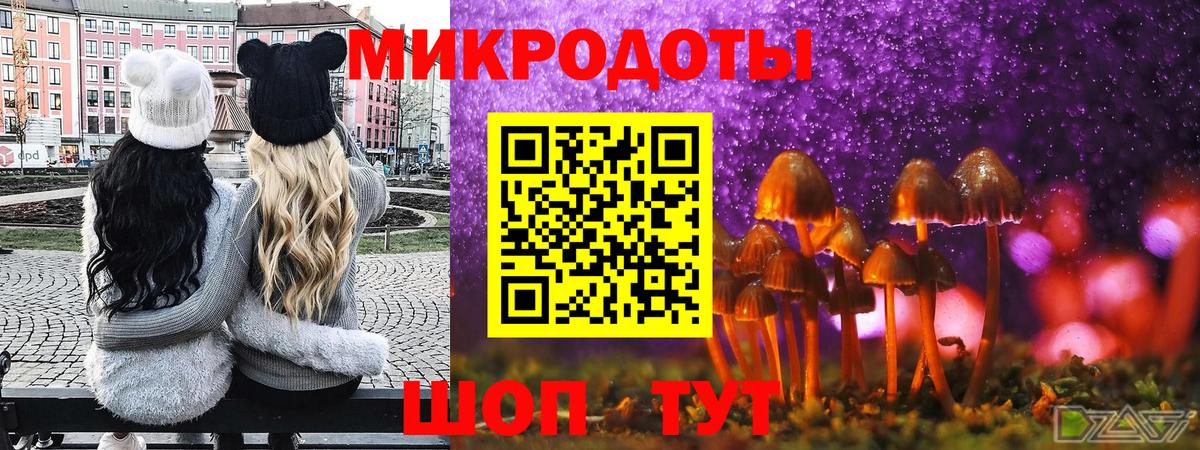 Псилоцибиновые грибы мухоморы Кохма